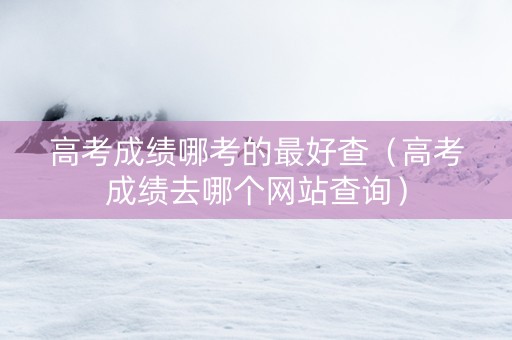 高考成绩哪考的最好查（高考成绩去哪个网站查询）