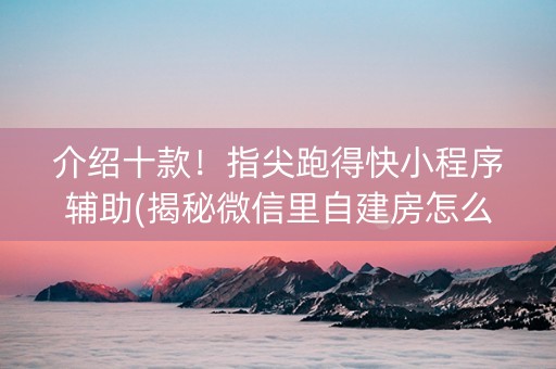 介绍十款！指尖跑得快小程序辅助(揭秘微信里自建房怎么赢)