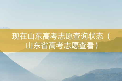 现在山东高考志愿查询状态（山东省高考志愿查看）