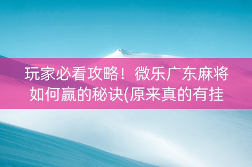 玩家必看攻略！微乐广东麻将如何赢的秘诀(原来真的有挂)