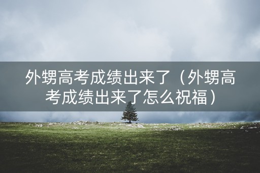 外甥高考成绩出来了（外甥高考成绩出来了怎么祝福）