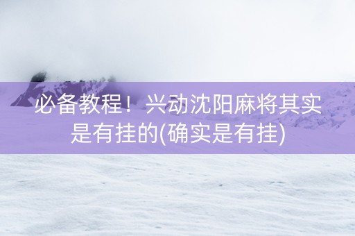 必备教程！兴动沈阳麻将其实是有挂的(确实是有挂)