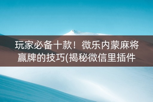 玩家必备十款！微乐内蒙麻将赢牌的技巧(揭秘微信里插件购买)