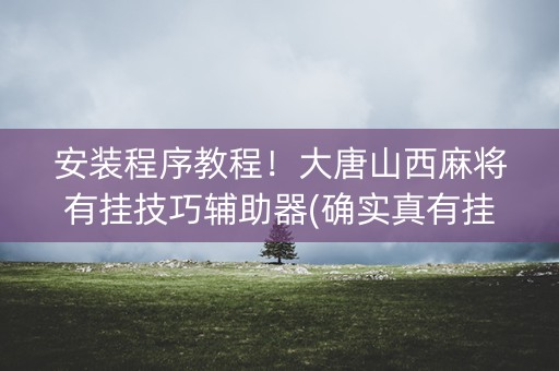安装程序教程！大唐山西麻将有挂技巧辅助器(确实真有挂)