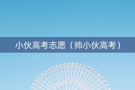 小伙高考志愿（帅小伙高考）