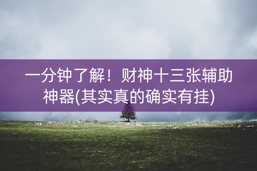 一分钟了解！财神十三张辅助神器(其实真的确实有挂)