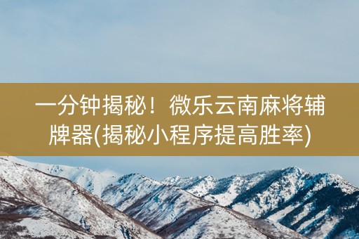 一分钟揭秘！微乐云南麻将辅牌器(揭秘小程序提高胜率)