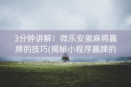 3分钟讲解！微乐安徽麻将赢牌的技巧(揭秘小程序赢牌的技巧)