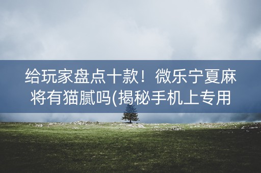 给玩家盘点十款！微乐宁夏麻将有猫腻吗(揭秘手机上专用神器)
