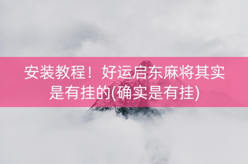 安装教程！好运启东麻将其实是有挂的(确实是有挂)