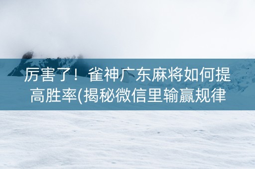 厉害了！雀神广东麻将如何提高胜率(揭秘微信里输赢规律)