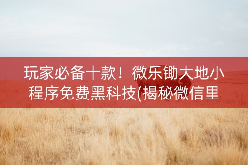 玩家必备十款！微乐锄大地小程序免费黑科技(揭秘微信里提高赢的概率)