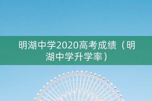 明湖中学2020高考成绩（明湖中学升学率）