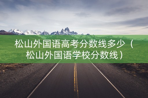 松山外国语高考分数线多少（松山外国语学校分数线）