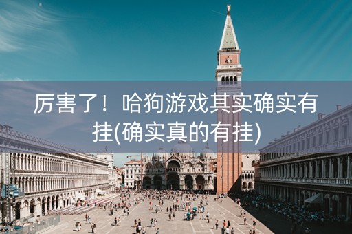 厉害了！哈狗游戏其实确实有挂(确实真的有挂)