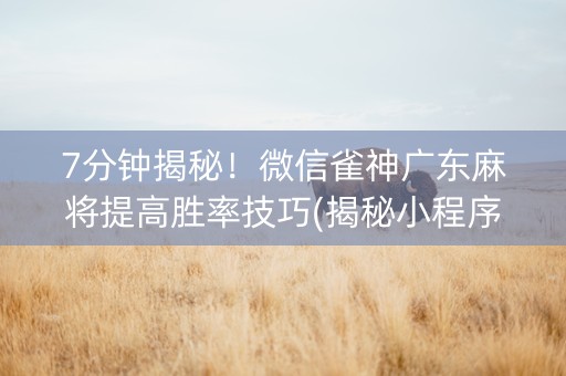 7分钟揭秘！微信雀神广东麻将提高胜率技巧(揭秘小程序输赢规律)