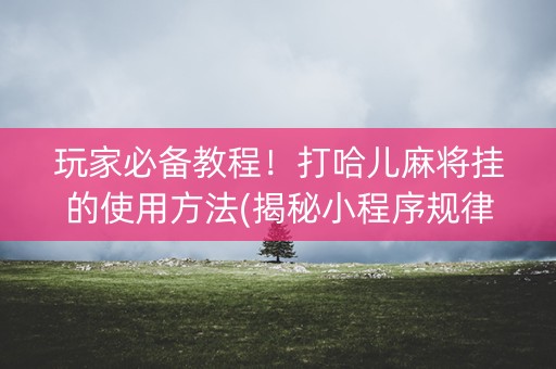 玩家必备教程！打哈儿麻将挂的使用方法(揭秘小程序规律攻略)