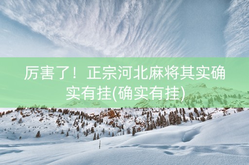 厉害了！正宗河北麻将其实确实有挂(确实有挂)