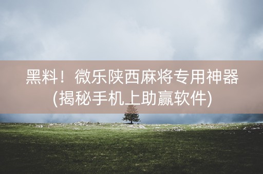 黑料！微乐陕西麻将专用神器(揭秘手机上助赢软件)