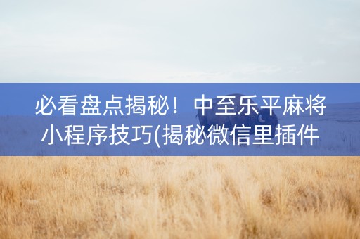 必看盘点揭秘！中至乐平麻将小程序技巧(揭秘微信里插件下载)