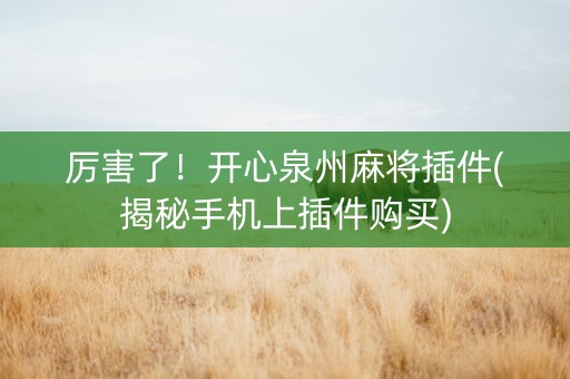 厉害了！开心泉州麻将插件(揭秘手机上插件购买)