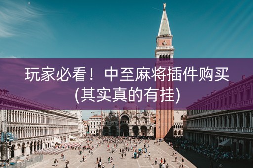 玩家必看！中至麻将插件购买(其实真的有挂)