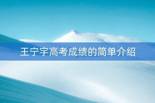 王宁宇高考成绩的简单介绍