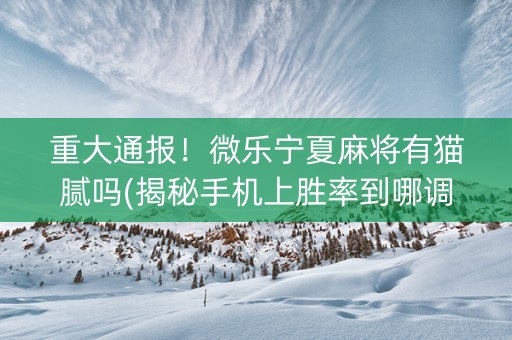 重大通报！微乐宁夏麻将有猫腻吗(揭秘手机上胜率到哪调)