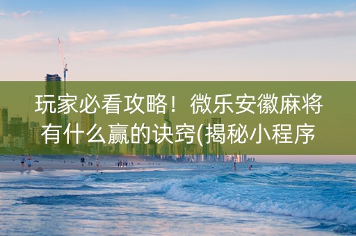 玩家必看攻略！微乐安徽麻将有什么赢的诀窍(揭秘小程序提高胜率)