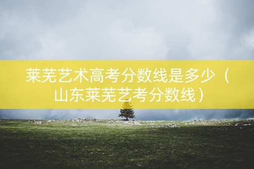 莱芜艺术高考分数线是多少（山东莱芜艺考分数线）