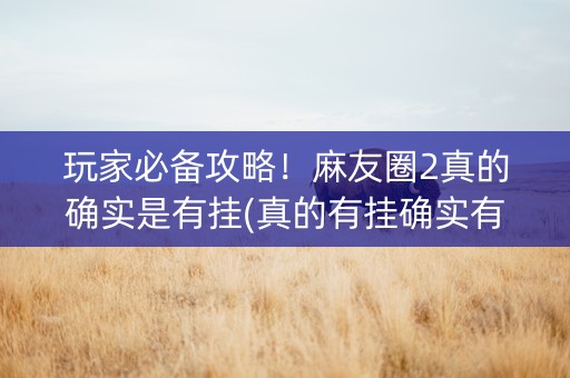玩家必备攻略！麻友圈2真的确实是有挂(真的有挂确实有挂)
