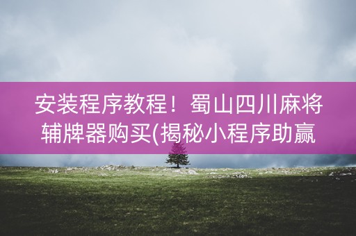 安装程序教程！蜀山四川麻将辅牌器购买(揭秘小程序助赢软件)
