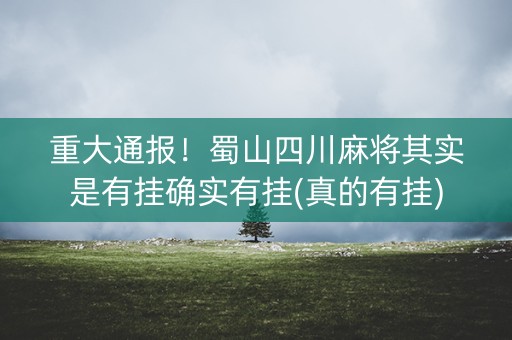 重大通报！蜀山四川麻将其实是有挂确实有挂(真的有挂)