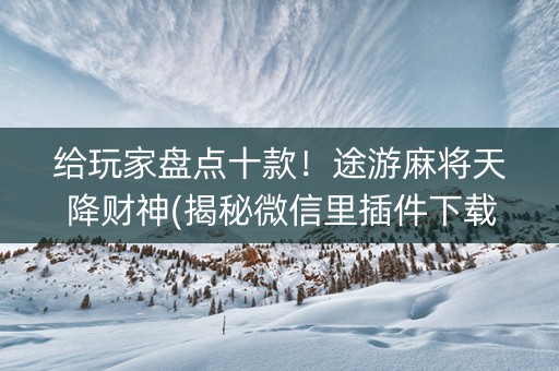 给玩家盘点十款！途游麻将天降财神(揭秘微信里插件下载)