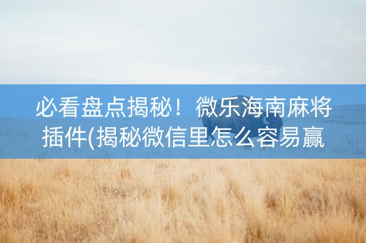 必看盘点揭秘！微乐海南麻将插件(揭秘微信里怎么容易赢)