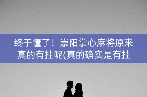 终于懂了！崇阳掌心麻将原来真的有挂呢(真的确实是有挂)