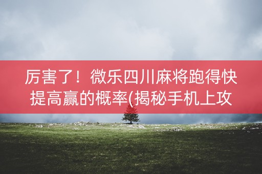 厉害了！微乐四川麻将跑得快提高赢的概率(揭秘手机上攻略插件)