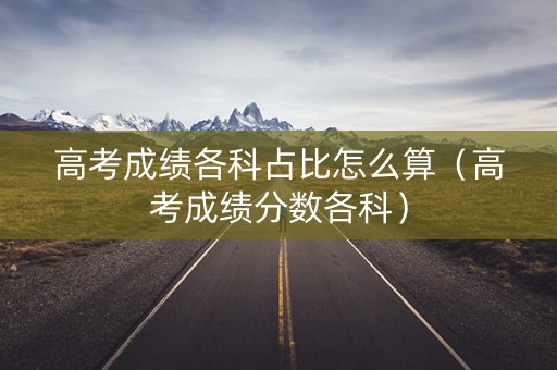 高考成绩各科占比怎么算（高考成绩分数各科）
