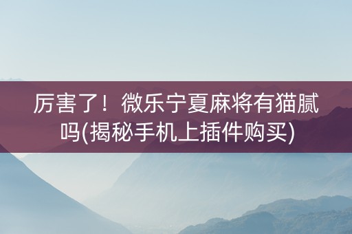 厉害了！微乐宁夏麻将有猫腻吗(揭秘手机上插件购买)