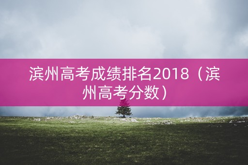 滨州高考成绩排名2018（滨州高考分数）