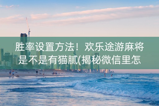 胜率设置方法！欢乐途游麻将是不是有猫腻(揭秘微信里怎么容易赢)