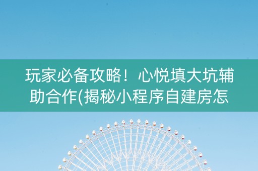 玩家必备攻略！心悦填大坑辅助合作(揭秘小程序自建房怎么赢)