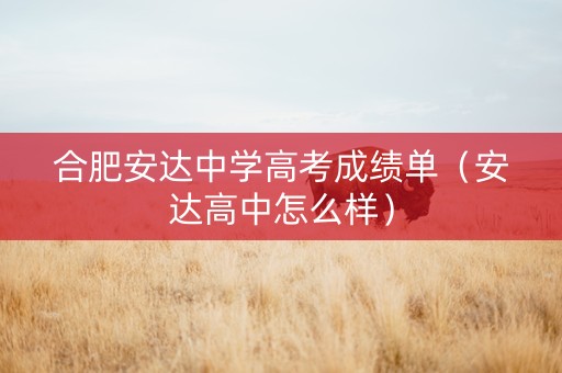 合肥安达中学高考成绩单（安达高中怎么样）