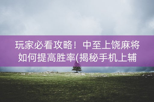 玩家必看攻略！中至上饶麻将如何提高胜率(揭秘手机上辅牌器)