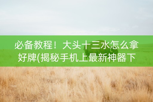 必备教程！大头十三水怎么拿好牌(揭秘手机上最新神器下载)