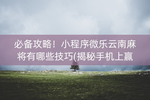必备攻略！小程序微乐云南麻将有哪些技巧(揭秘手机上赢的秘诀)