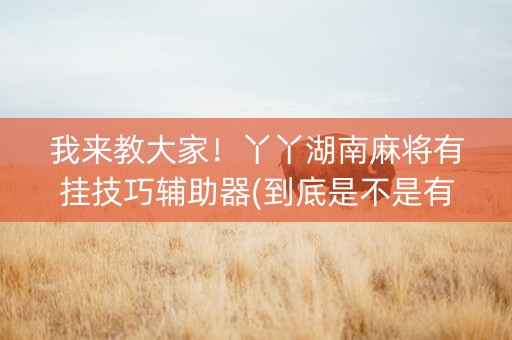 我来教大家！丫丫湖南麻将有挂技巧辅助器(到底是不是有挂)