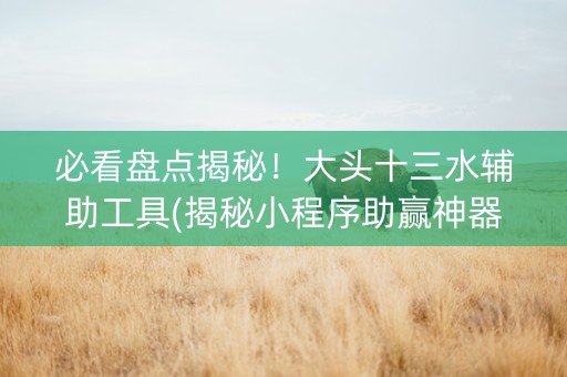 必看盘点揭秘！大头十三水辅助工具(揭秘小程序助赢神器购买)