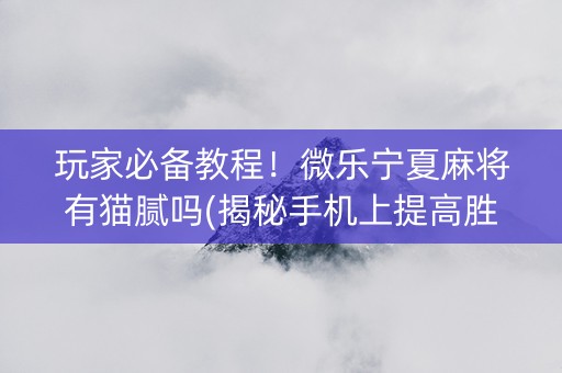 玩家必备教程！微乐宁夏麻将有猫腻吗(揭秘手机上提高胜率)