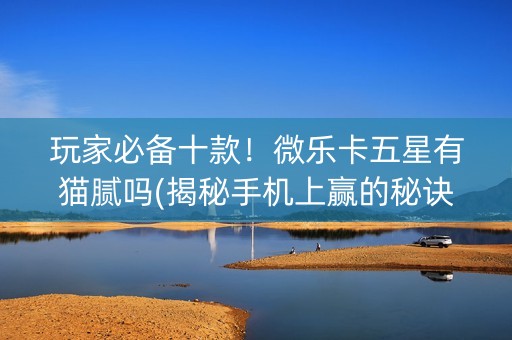 玩家必备十款！微乐卡五星有猫腻吗(揭秘手机上赢的秘诀)